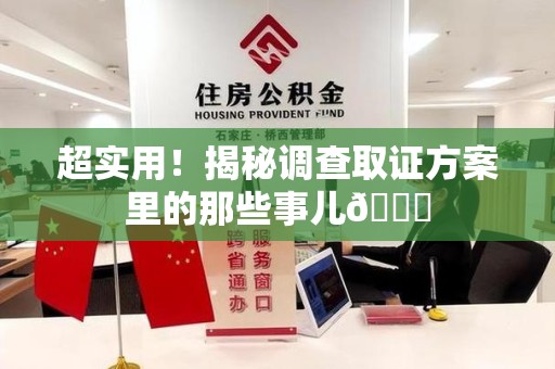 芗城超实用！揭秘调查取证方案里的那些事儿😎