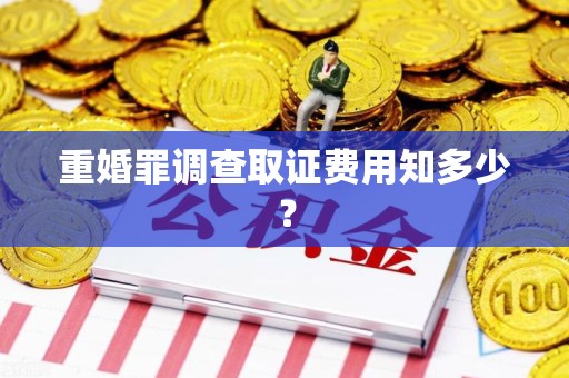 芗城重婚罪调查取证费用知多少？