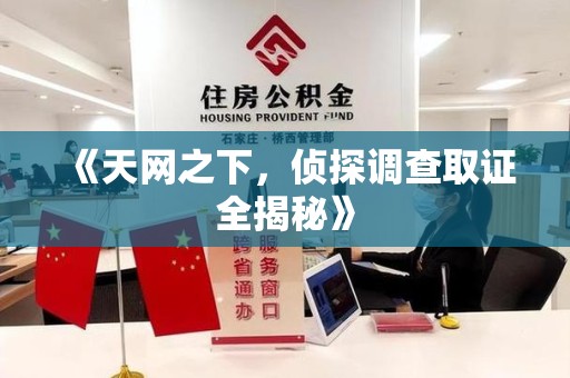 芗城《天网之下，侦探调查取证全揭秘》