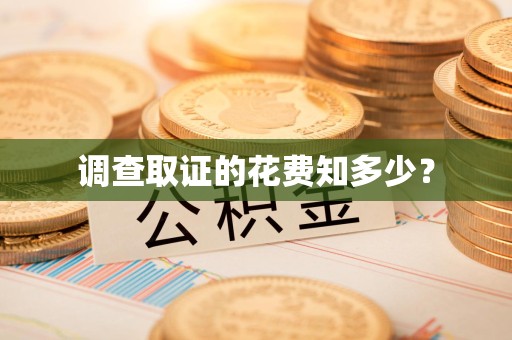 芗城调查取证的花费知多少？